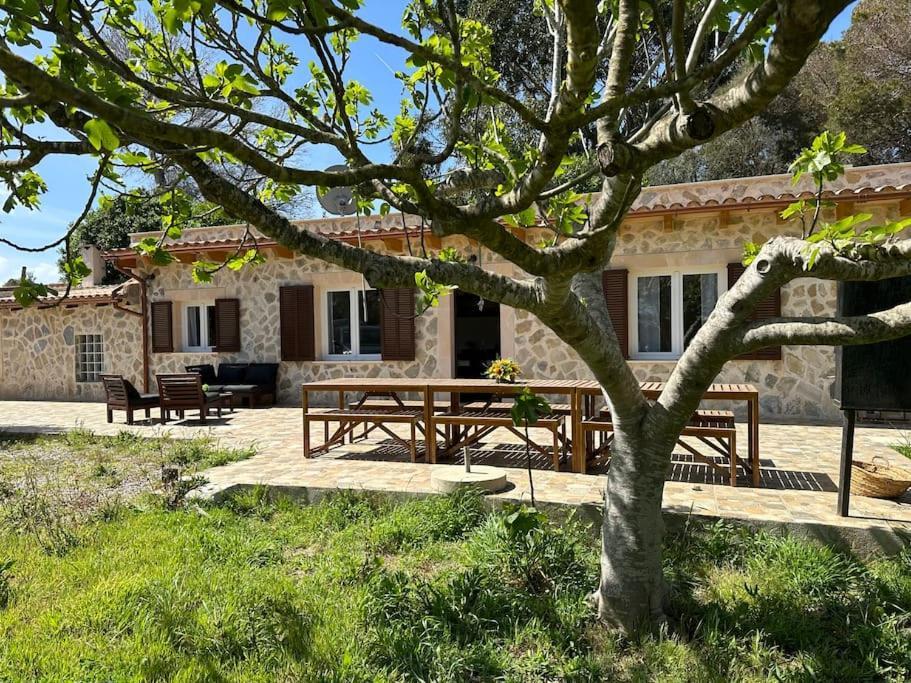 Finca Roberto Villa Can Picafort  Exterior photo