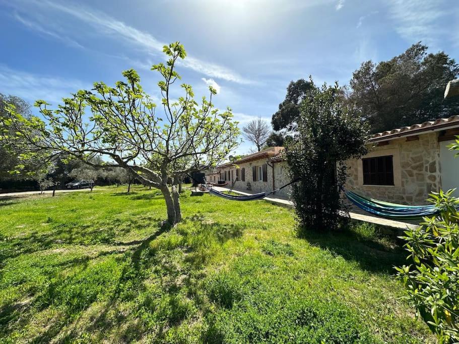 Finca Roberto Villa Can Picafort  Exterior photo